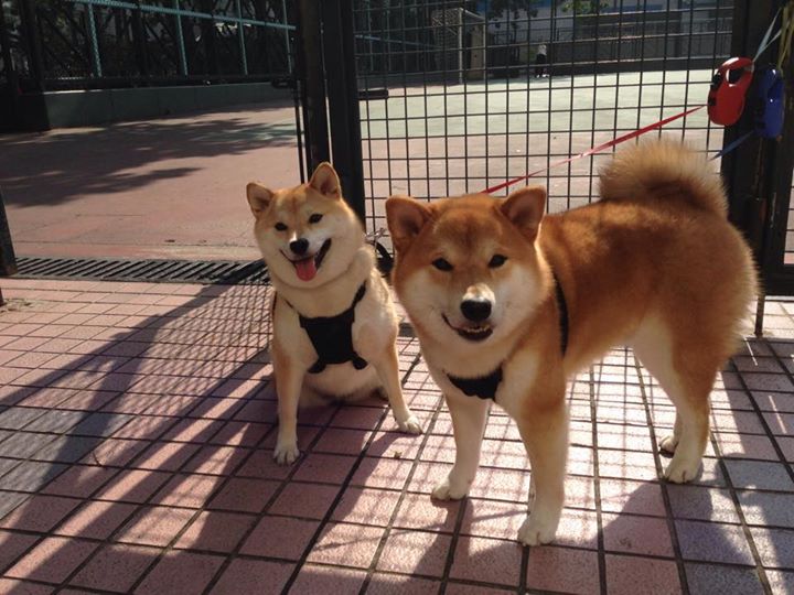 九游app下载中心-青少年锻炼促进措施,青少年锻炼促进措施怎么写