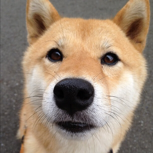 Jiuyou-世界围棋赛焦点之战引爆全场,世界围棋大赛总决赛