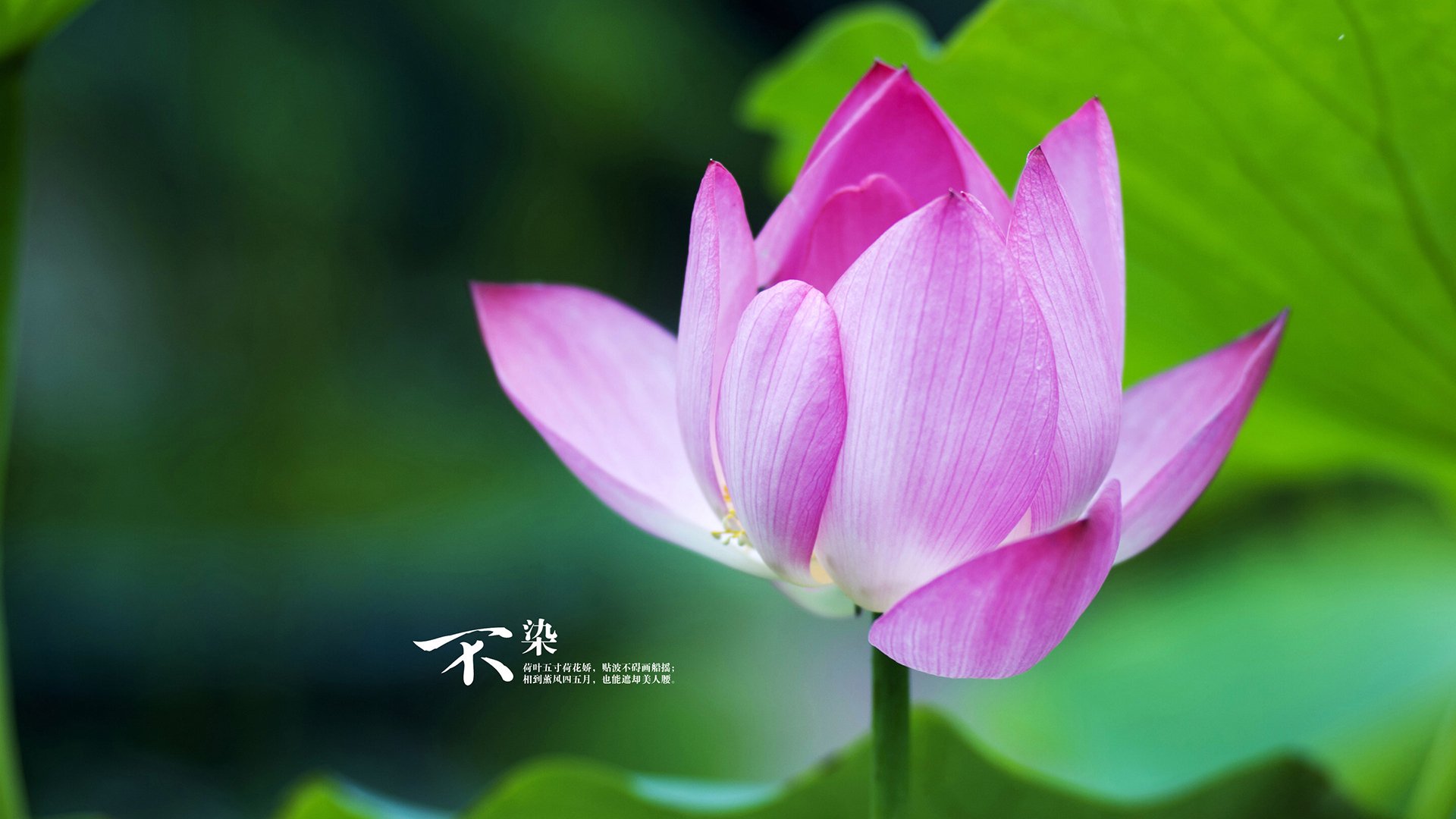 九游电脑版-中国男篮全员投入训练 备战国际大赛,中国男子篮球国家队比赛