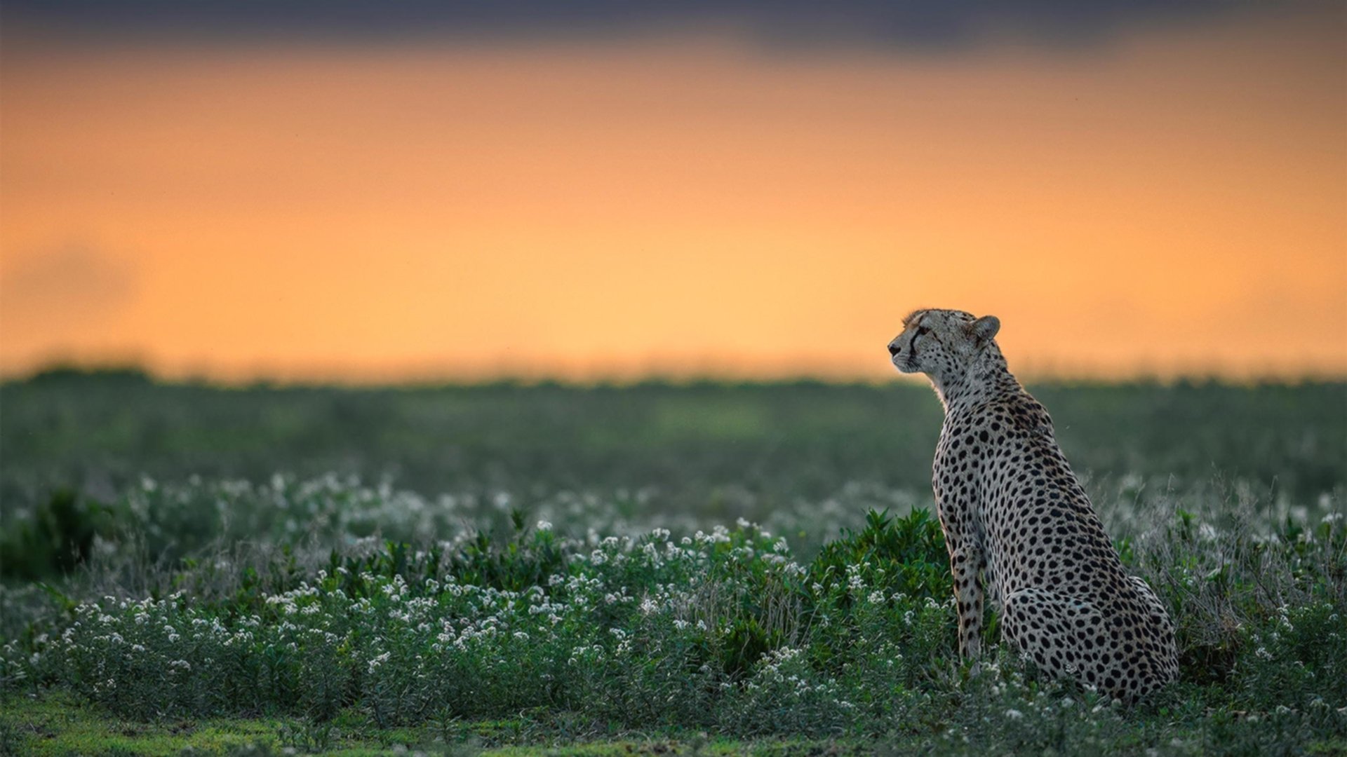 九游娱乐APP-中立B选手该项目划频波动降低