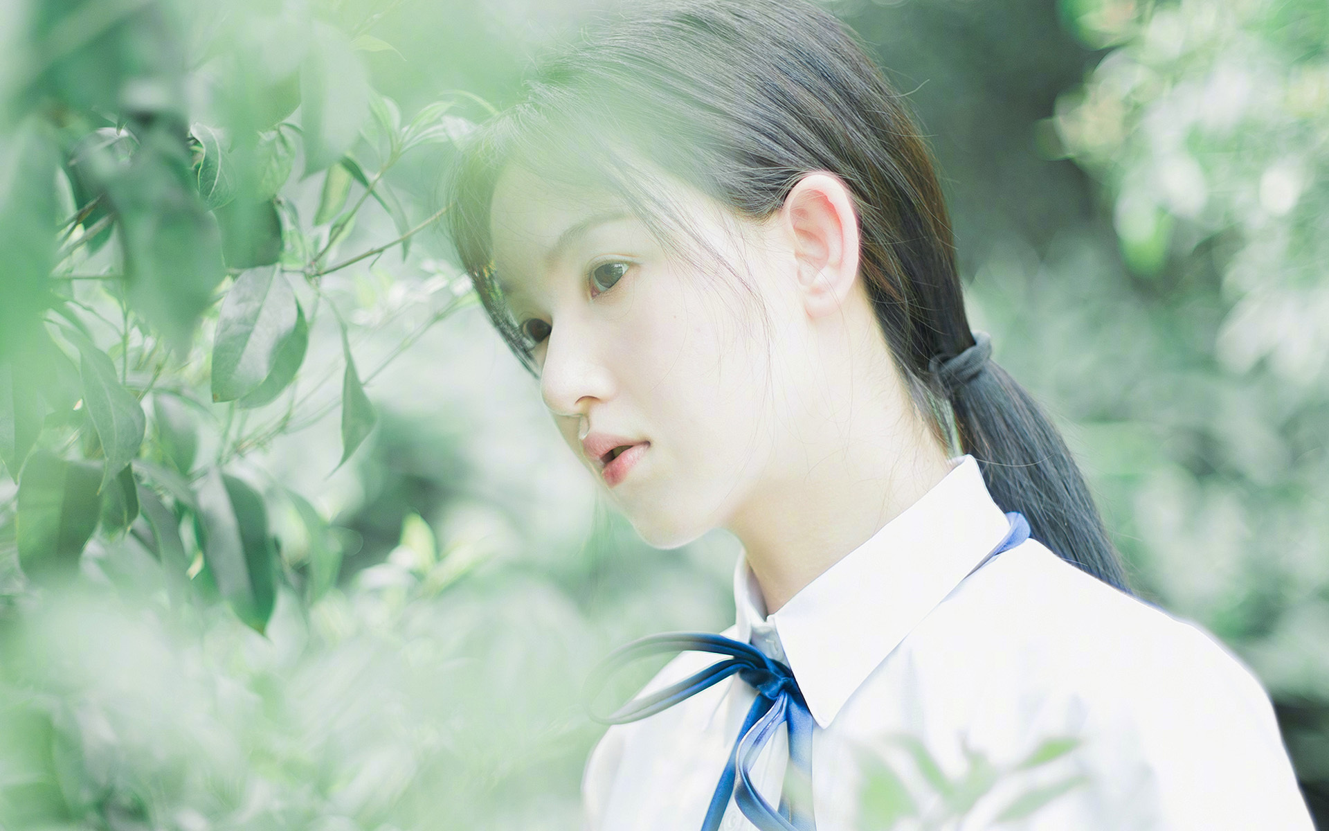 九游游戏中心-广东队战术多样化提升场上灵活应变能力,广东队战术讲解