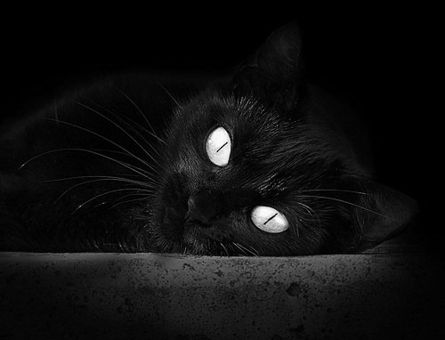 九游娱乐-辽宁飞豹球员训练强度加大备战季后赛，辽宁飞豹现役球员