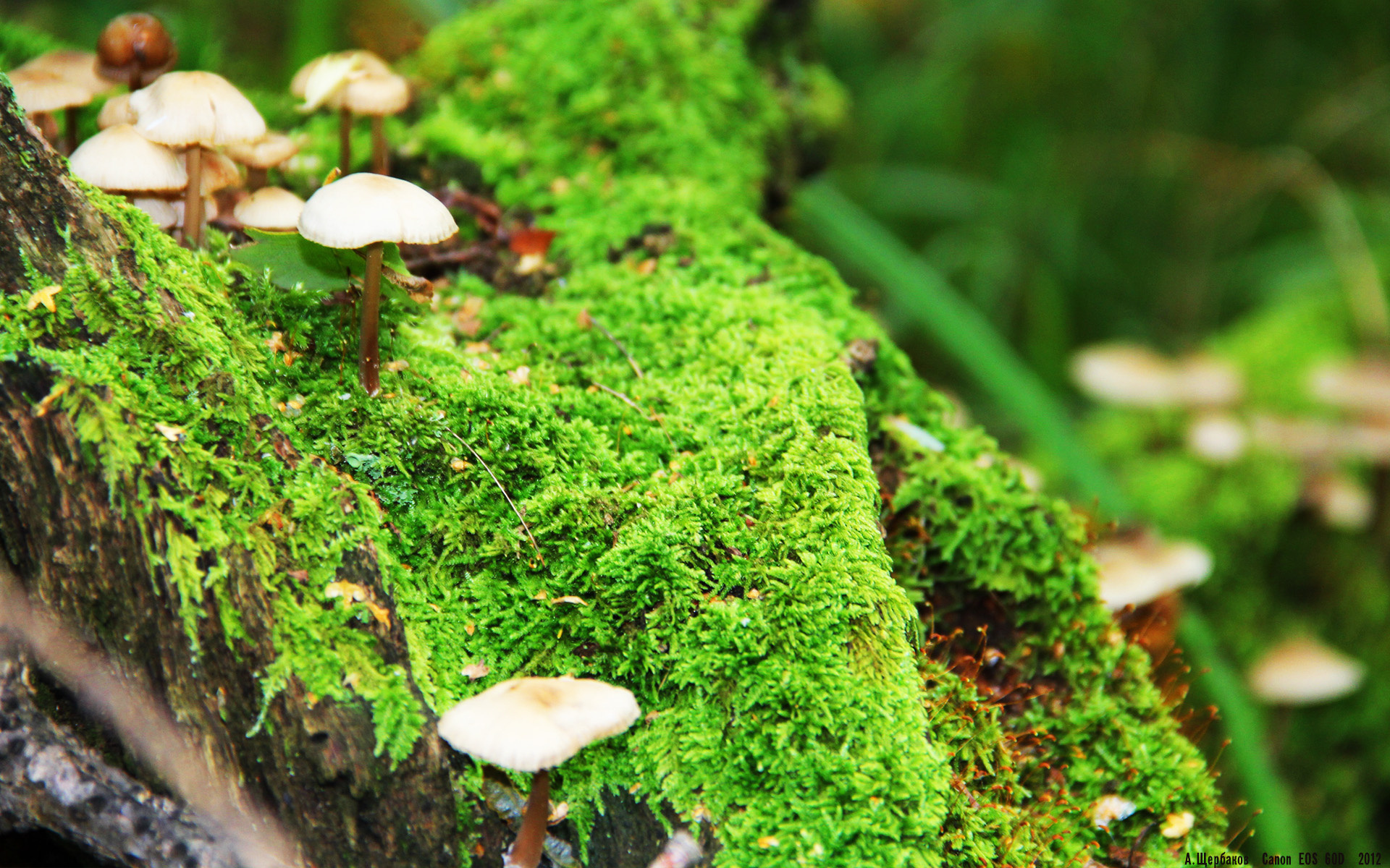 九游娱乐(jiuyou)官网-青训基地建立动态考评机制持续优化管理,青训考试是什么