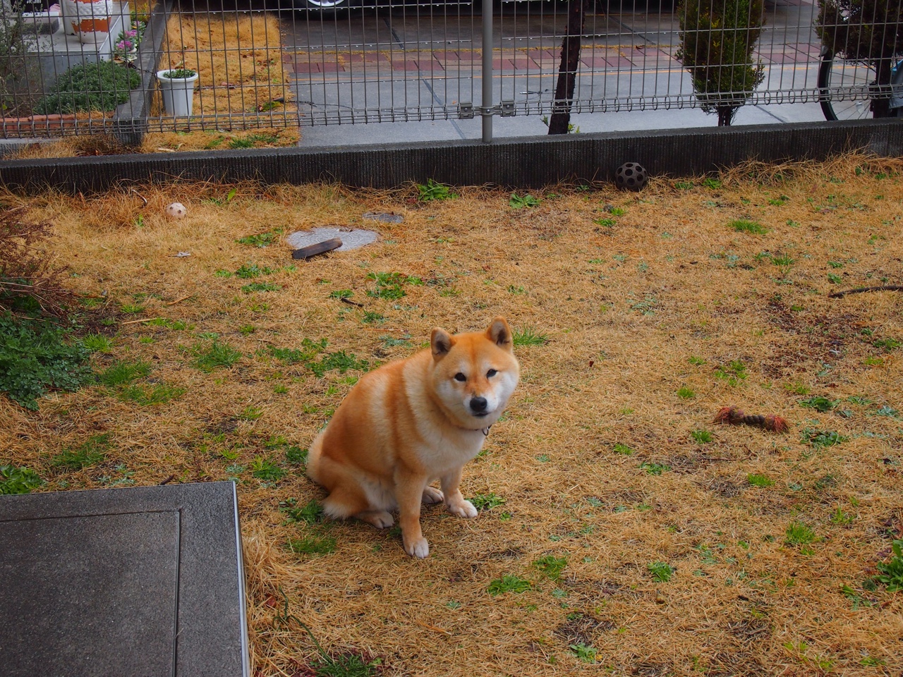 九游(jiuyou)官方网站-马竞应对高位压迫经验丰富,马竞的防守战术分析