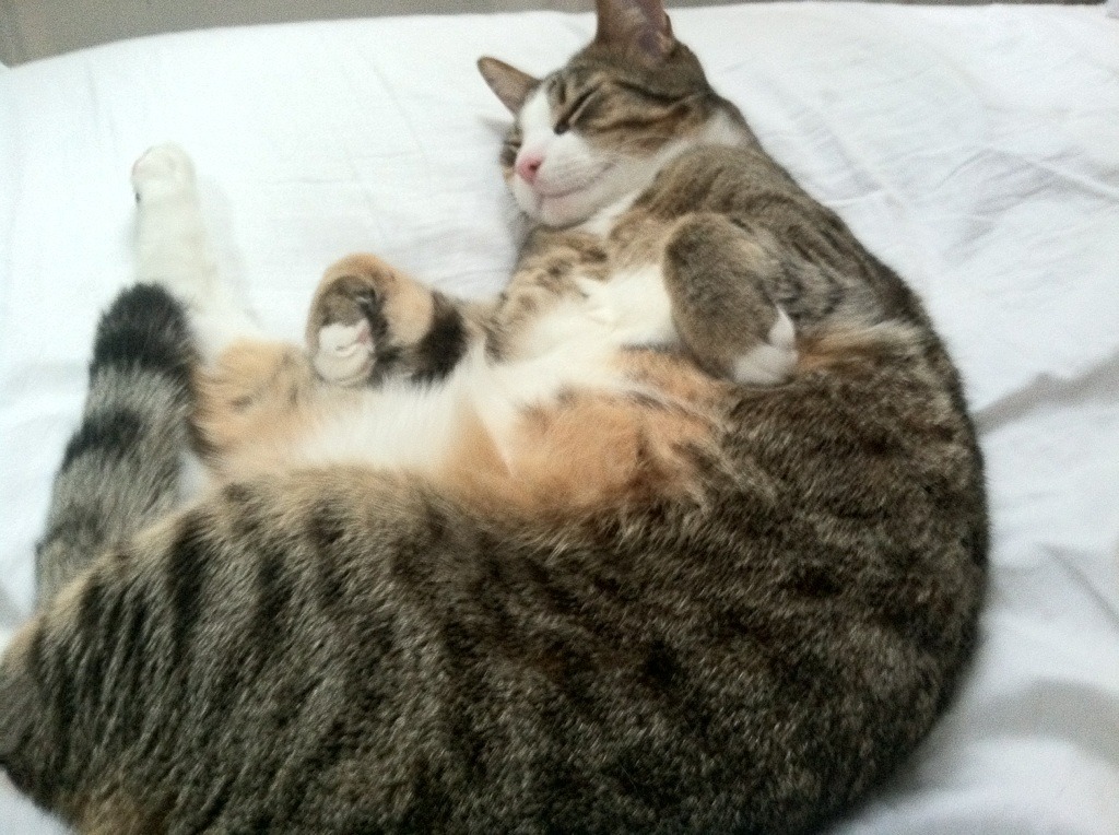 九游官网主页-世界杯精彩瞬间:激情逐渐升温!,世界杯激战正酣,我们都知道