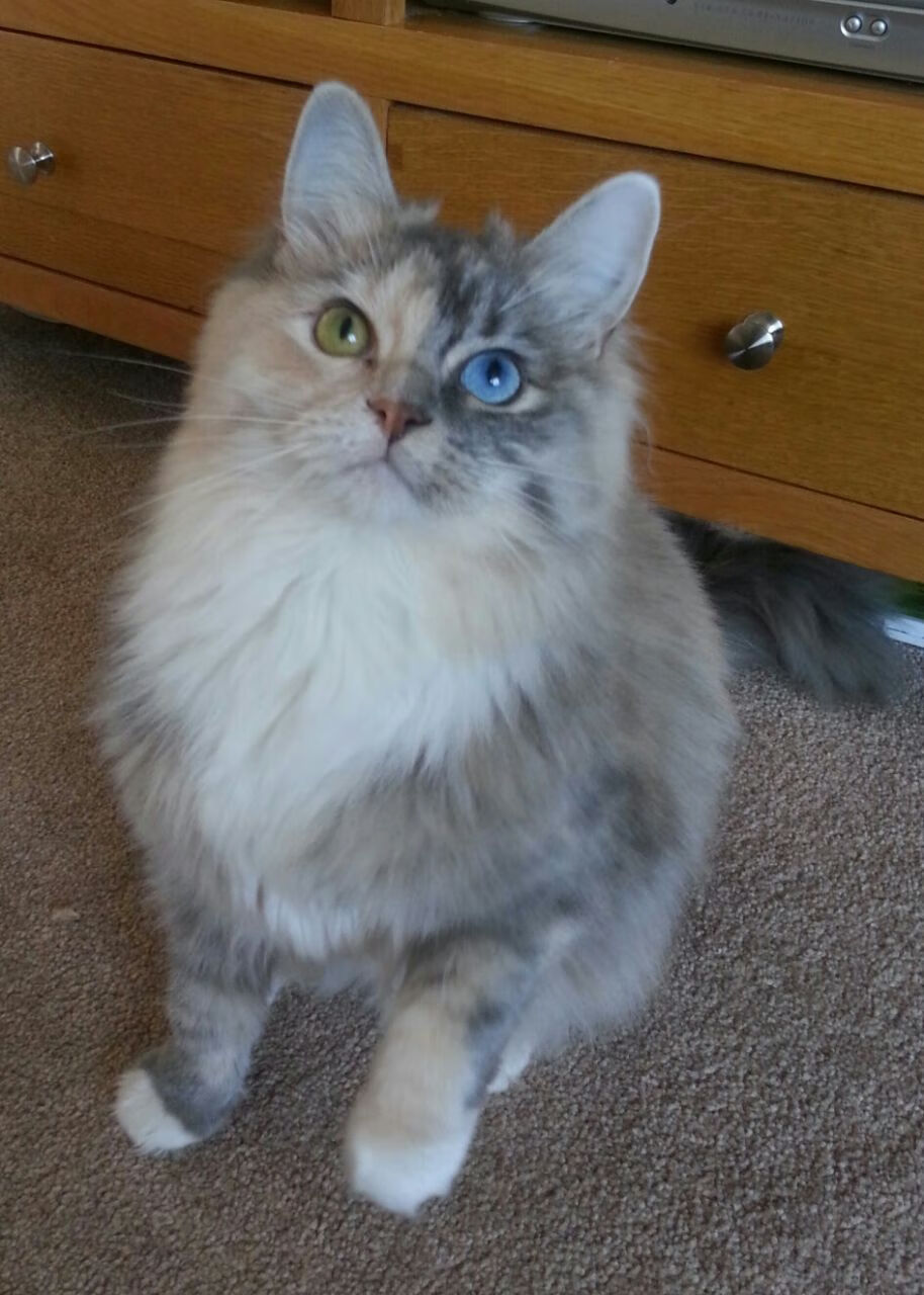 九游官网pc-乌干达男篮在非洲预赛中不屈不挠,一步步迈向大舞台,乌干达篮球全国联赛