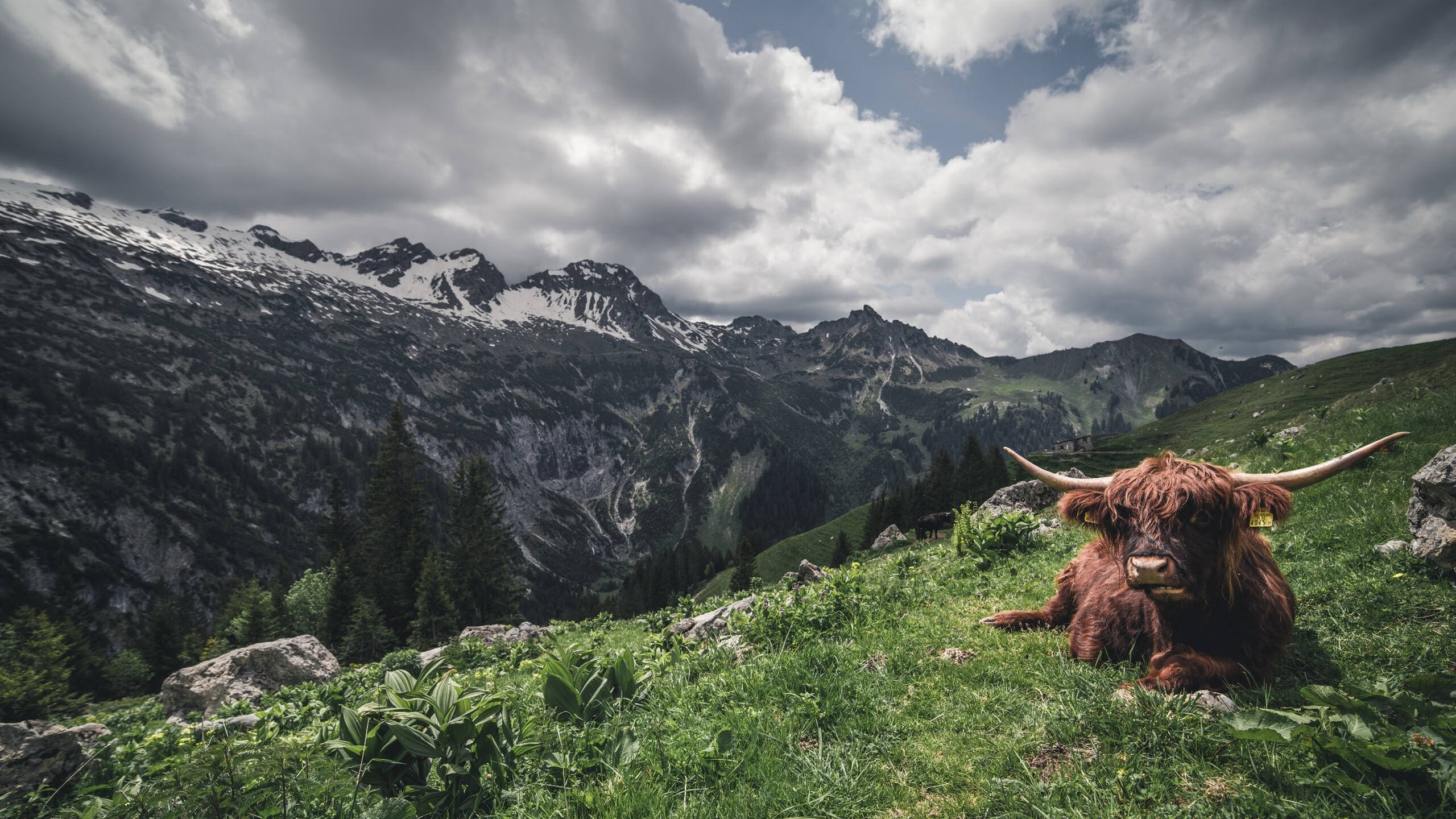 九游网页版官网入口-乌拉圭男篮在南美锦标赛中重夺冠军,体育影响越来越广泛,乌拉圭南美区预选赛