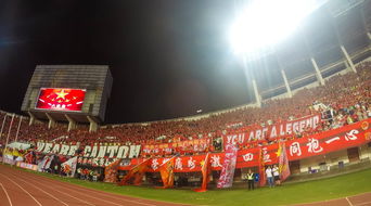 九游下载中心-体育场馆篮球租赁平台上线便利市民参与夜间训练,篮球场出租收费标准