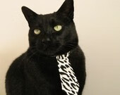 九游jiuyou-职业球队教练组扩编设立专项训练岗位细化任务分工,球队教练的另类工作