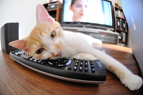 JIU YOU GAME-三场压轴大战意外,德甲积分榜第四轮大洗牌,德甲积分2020-2021